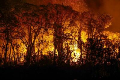 Imagem da notícia PF inicia operação contra queimadas com ações diretas em Mato Grosso do Sul